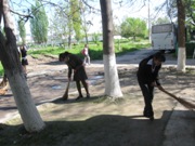 Фотография 57