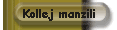 Kollej manzili